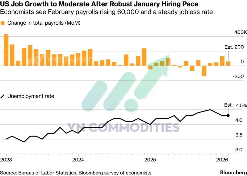 dự b&aacute;o số việc l&agrave;m mới tại Mỹ trong th&aacute;ng 2